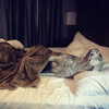 alexandradaddario Altpins Profile Picture