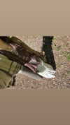 f4iryybl00d Altpins Profile Picture