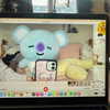 pizza4alice Altpins Profile Picture
