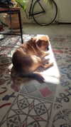 alma.almog Altpins Profile Picture