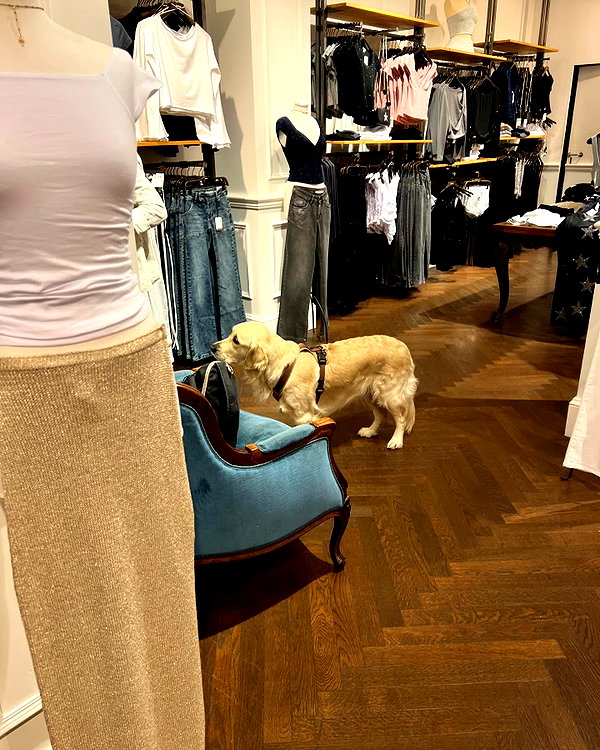 katrina.zaiceva instagram image archive image
