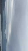 naivems_ Altpins Profile Picture