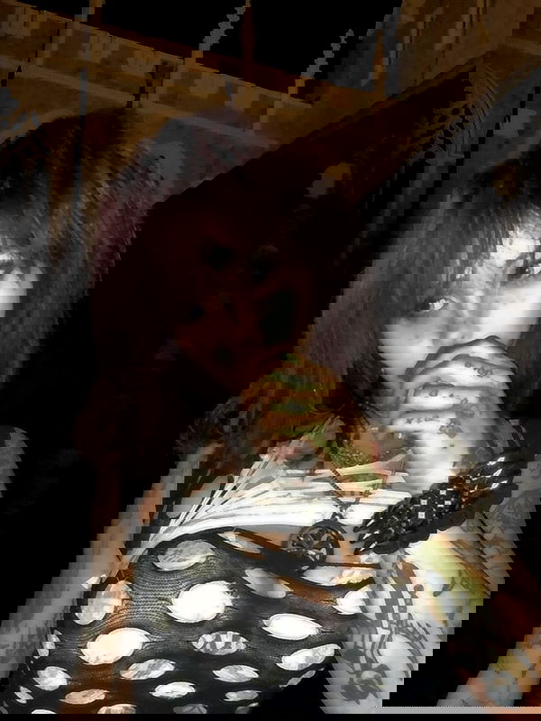 zommmbri zommmbri archive image