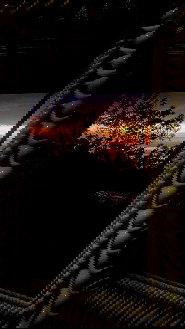 taylor.creeden taylor.creeden archive image