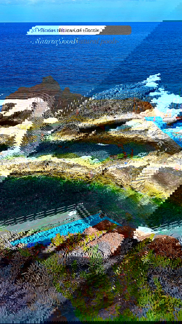 taylor.creeden taylor.creeden archive image