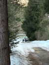 howeversnowy Altpins Profile Picture