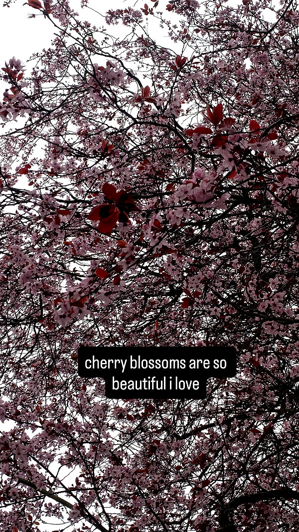 Archived image from @soulcandyx on Instagram
