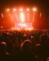 avrillavigne Altpins Profile Picture