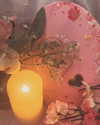 livia._.paige Altpins Profile Picture