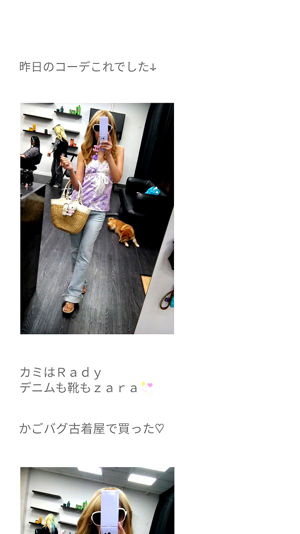 piyokoblog archive image