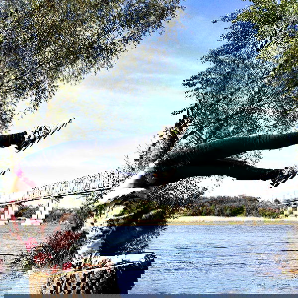 kkulakovaa image ~ Altpins