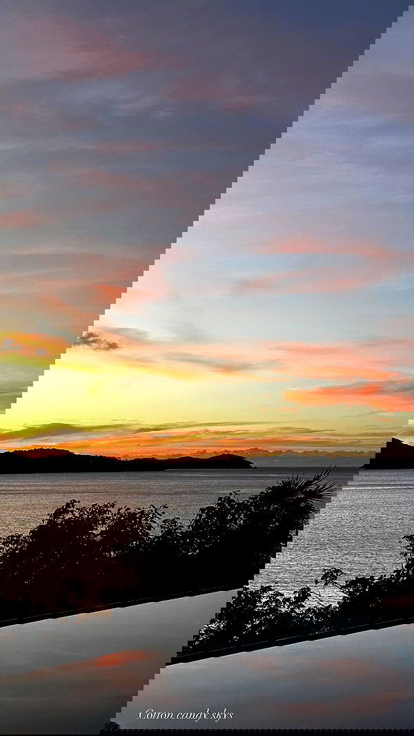 taylor.creeden taylor.creeden archive image