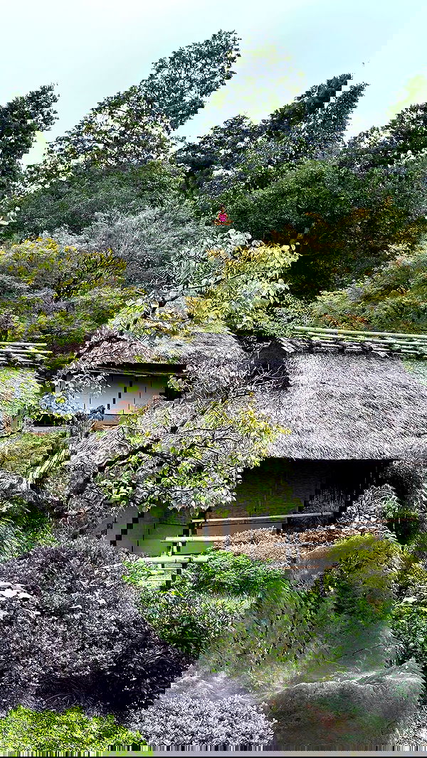 taylor.creeden taylor.creeden archive image