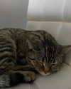 milena_milachich Altpins Profile Picture