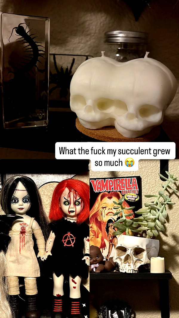 gargoyol instagram image archive image