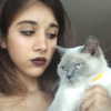 owlydiaa Altpins Profile Picture