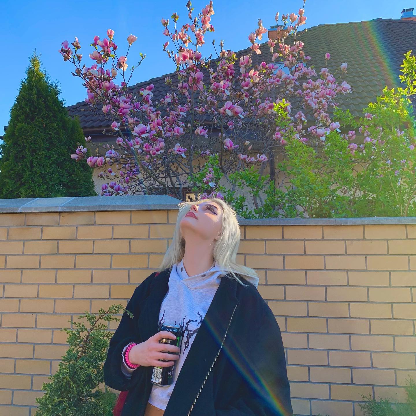 annfigmax instagram image archive image