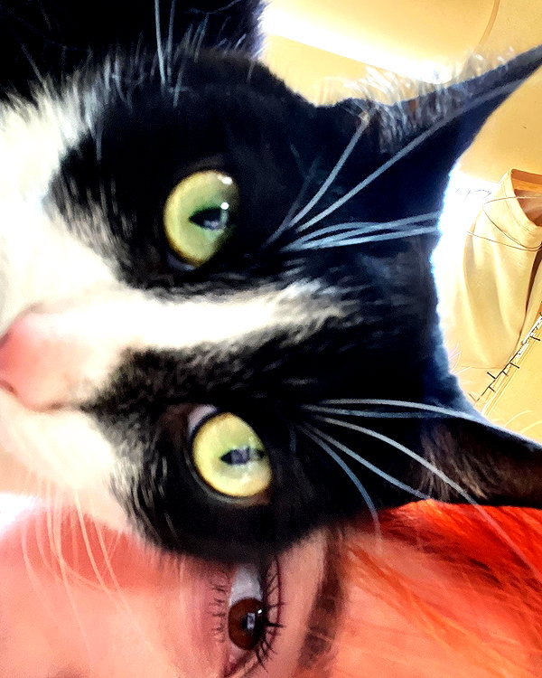 pizza4alice instagram image archive image