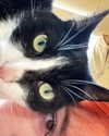 pizza4alice Altpins Profile Picture