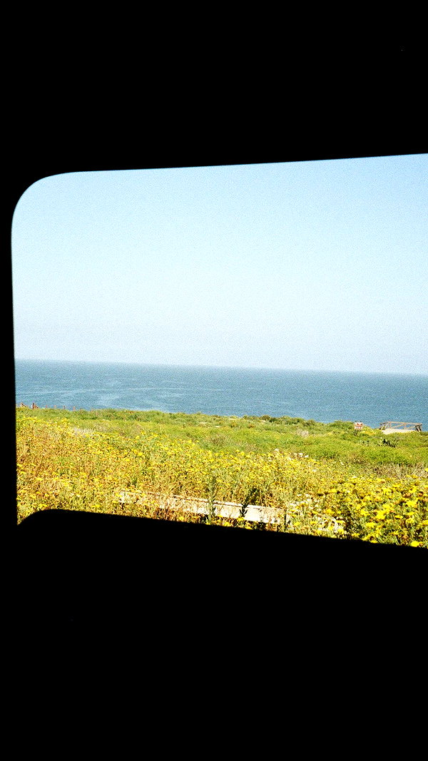 pia__kim instagram image archive image