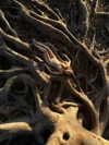 orman.mariee Altpins Profile Picture