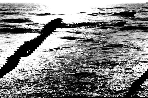 ting851204 ting851204 archive image