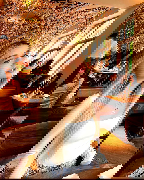 pinx_ir pinx_ir archive image