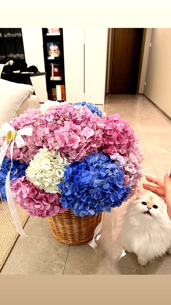 Archived image from @xiaoxinbue on Instagram