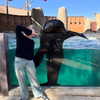 cyber.st4rz Altpins Profile Picture