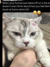 a.tinn___ Altpins Profile Picture