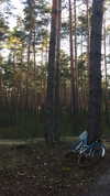 danafetishistova Altpins Profile Picture