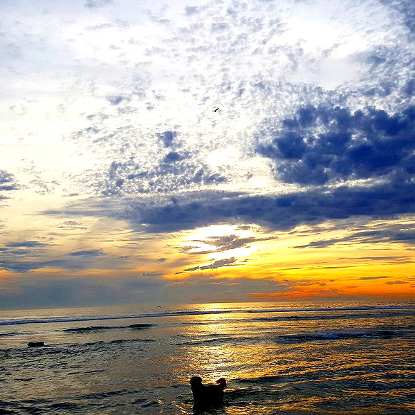 muze instagram image archive image