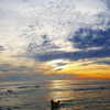 muze Altpins Profile Picture