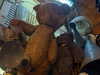 s111y_ccc0nt3 Altpins Profile Picture