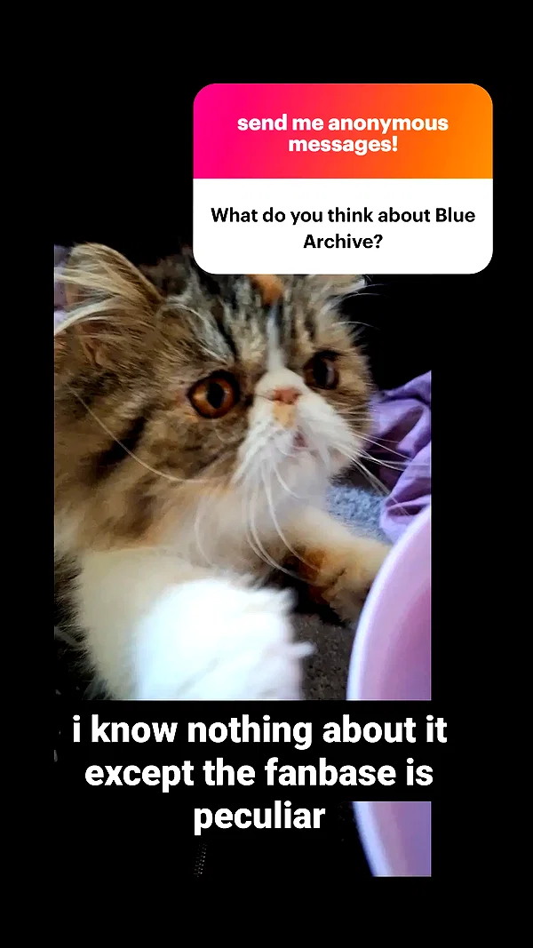 mirekyarahire instagram image archive image