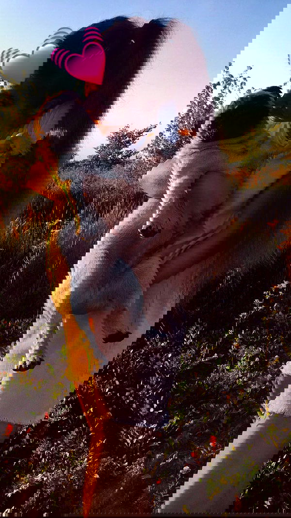 nyityam nyityam archive image