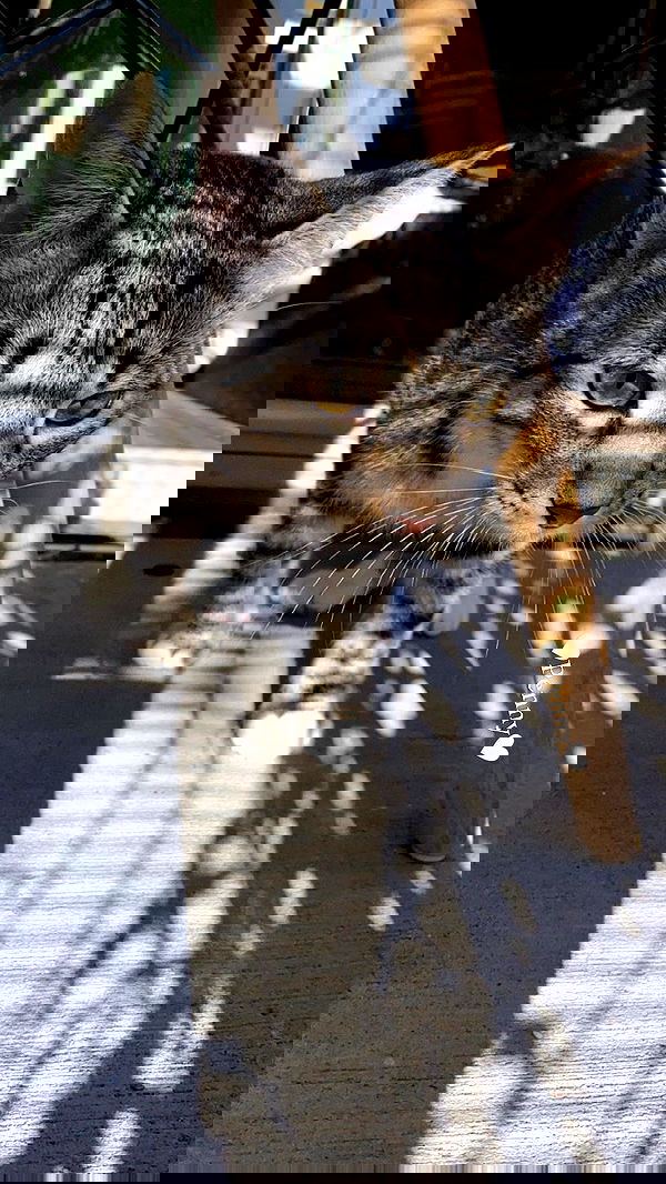 taylor.creeden taylor.creeden archive image