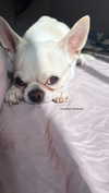 agambuzaglo122 Altpins Profile Picture
