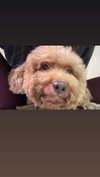 kteaworld Altpins Profile Picture