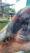 yaarat11 Altpins Profile Picture