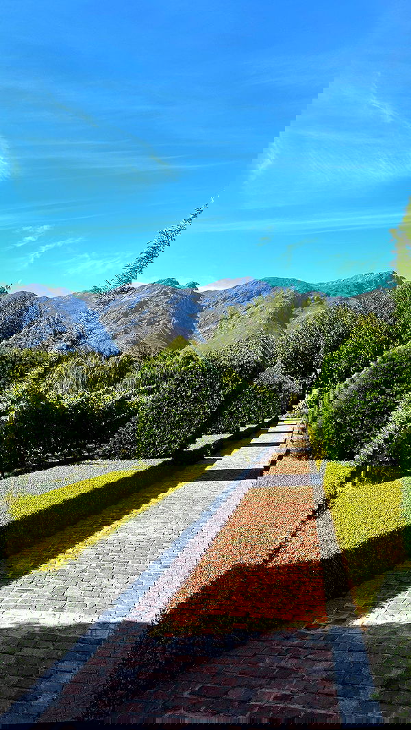 taylor.creeden taylor.creeden archive image