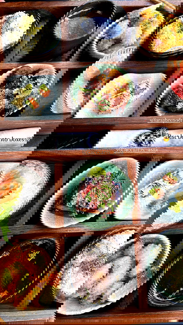 taylor.creeden taylor.creeden archive image