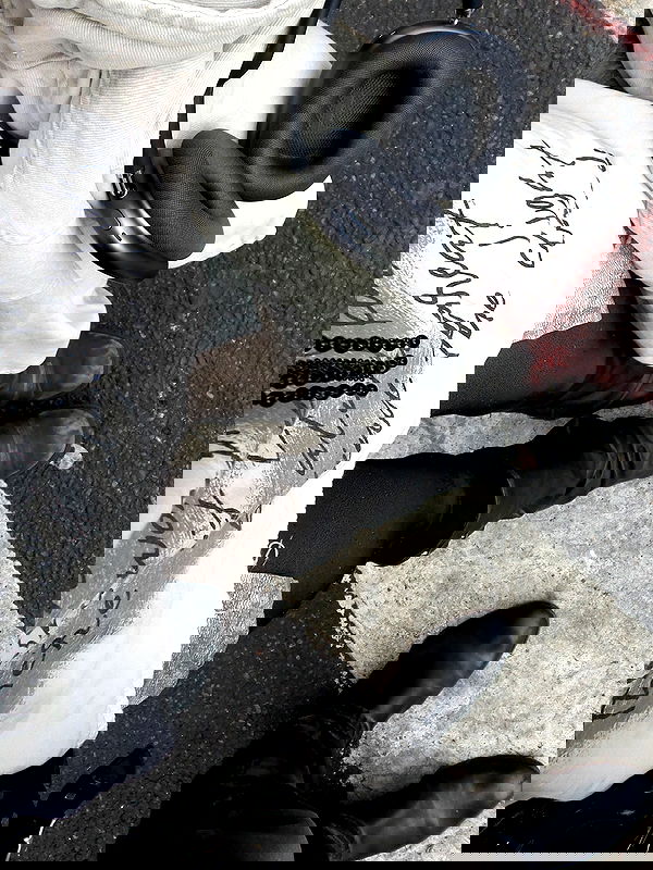 rchhhll rchhhll archive image