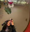 bad.toy Altpins Profile Picture