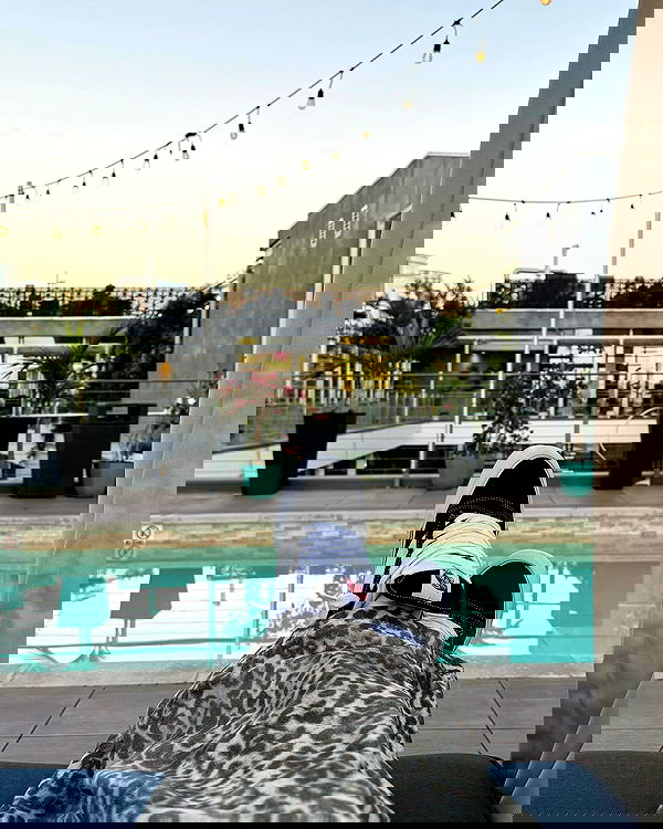 jtilb2 image ~ Altpins