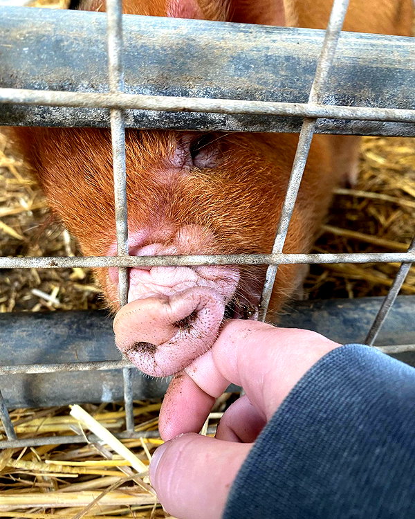 charley.chambers instagram image archive image