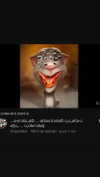 babynympho_archive Altpins Profile Picture