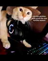 ellaexplicit_ Altpins Profile Picture
