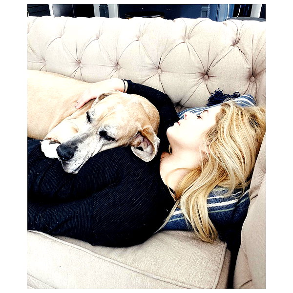 sashapieterse instagram image archive image