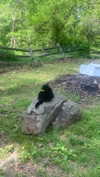 olivia.bolgerr Altpins Profile Picture